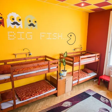 Big Fish אכסניה